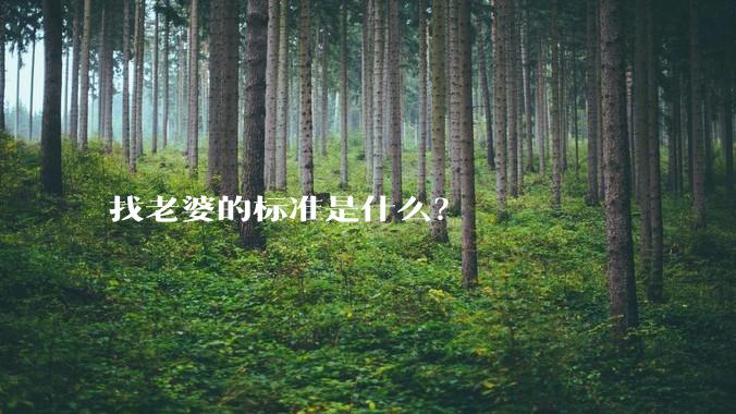 找老婆的标准是什么？